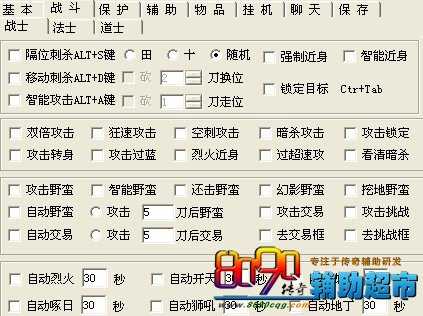 小公主辅助战士功能